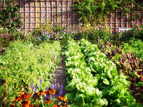 Gardening with an Ecological Mindset