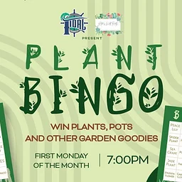 Plant Bingo with Katie's Wild Roots