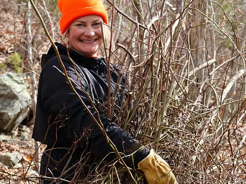 Invasive Plant Pull