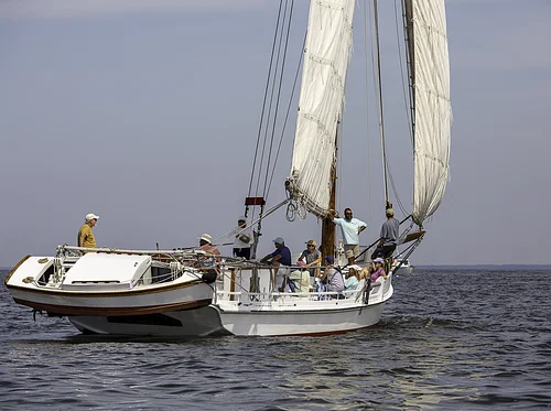Skipjack Sail Training: Solomons Island