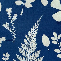 Blueprints of Nature: A Cyanotype Sunprint Workshop