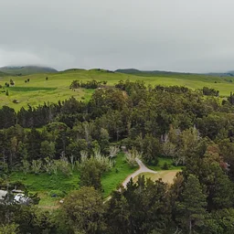 Hoaʻāina Stewardship Day at Keawewai