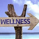 3rd Annual Wellness Fair