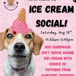 Ice-Cream Social for dogs!