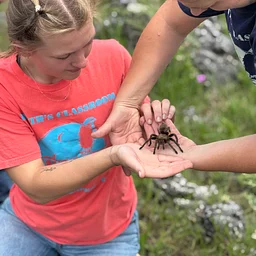 Tarantula Glade Hike