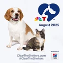 Clear the Shelters