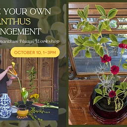 Make Your Own Floral Arrangement: Osmanthus Huayi Workshop