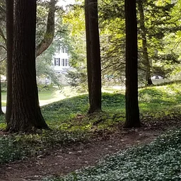 In the Footsteps of Edith