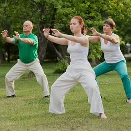 Tai Chi in the Wild