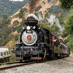 Steam Train