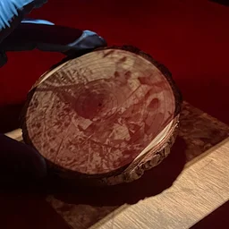Printing with Liquid Emulsion