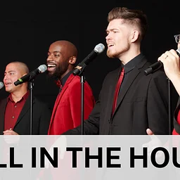 On Stage at the Davis Presents: Ball in the House