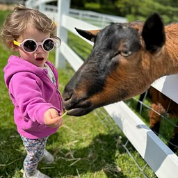 Family Farmyard Fun