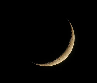 SNL: Thee Midnight Society Live (No Cover)