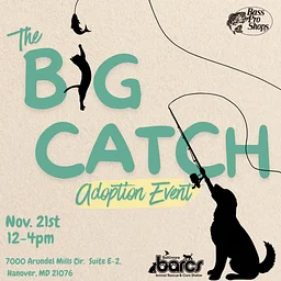 The Big Catch Adoption Event at Bass Pro Shops