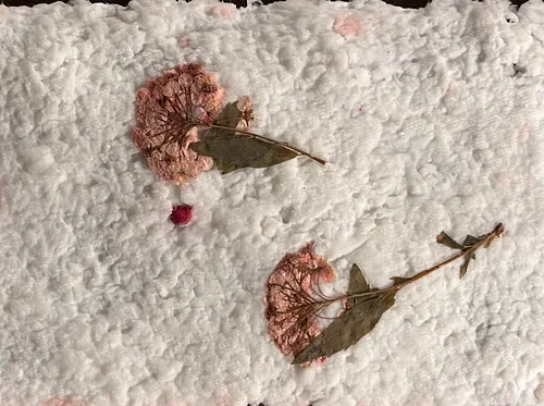 Medium & Techniques | Papermaking