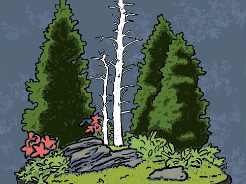 Bonsai in the Blue Ridge