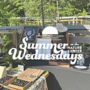 Art in the Park
