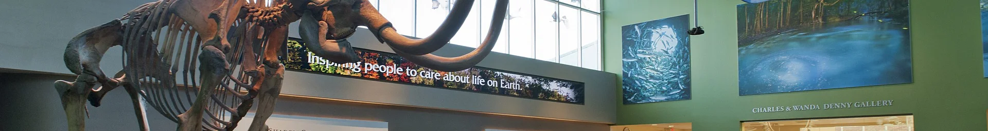 Florida Museum of Natural History