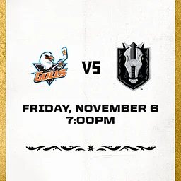 Silver Knights vs Gulls