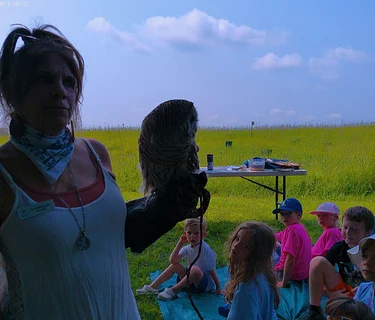 Wonder Wednesday: Raptor Mania
