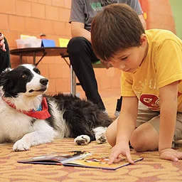 Reading to Rover