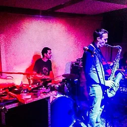 The Analogue Sons