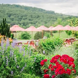 Music at Jefferson Vineyards