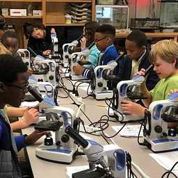 Marine Communities & Microscopes