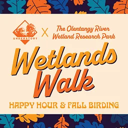 Wetlands Walk: Happy Hour & Fall Birding