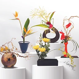 Annual Ikebana Exhibition