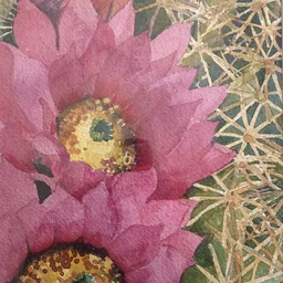 Watercolor Desert Blooms