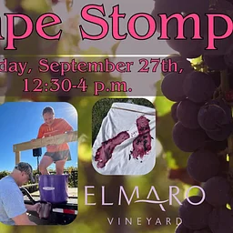 Grape Stomp