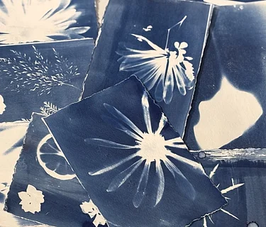 Medium & Technique | Cyanotype