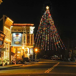 Christmas Tree Lighting
