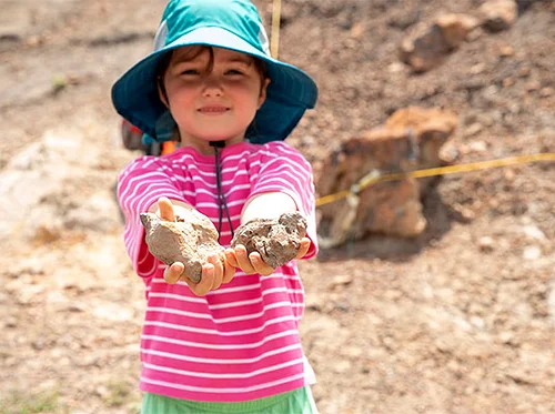 Dinosaur Park Open House