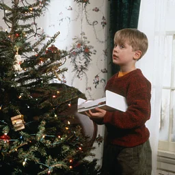 Home Alone in Concert