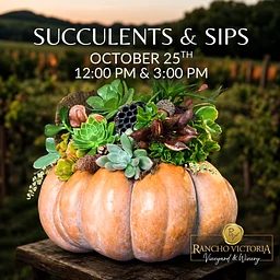 SUCCULENTS & SIPS BACK BY POPULAR DEMAND!