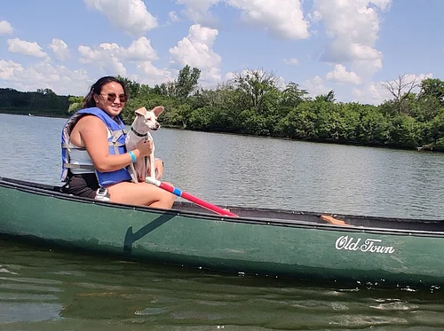 Dog Days of Summer