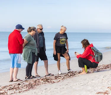Guided Beachwalk at Blind Pass Condominiums
