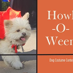 Howl-O-Ween