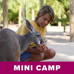 Mini Camp: Australia Uncovered