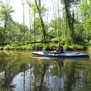 Kayak Cruising on the Creek