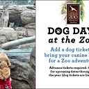 Dog Days at the Zoo (July 24 & 31)