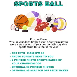 Sports Ball Day @ daycare