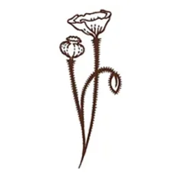 BareWolf Brewing