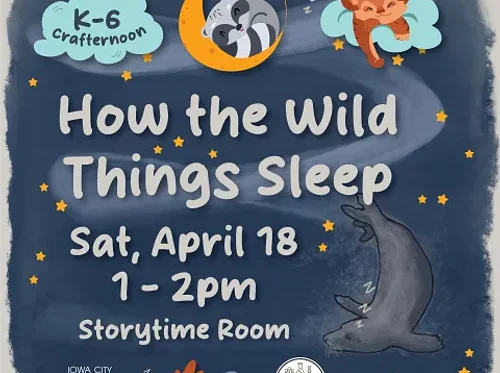 K-6 Crafternoon: How the Wild Things Sleep