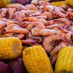 Annual Shrimp Festival