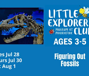 Little Explorer’s Club: Figuring Out Fossils