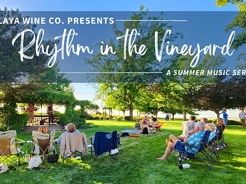 Rhythm in the Vineyard